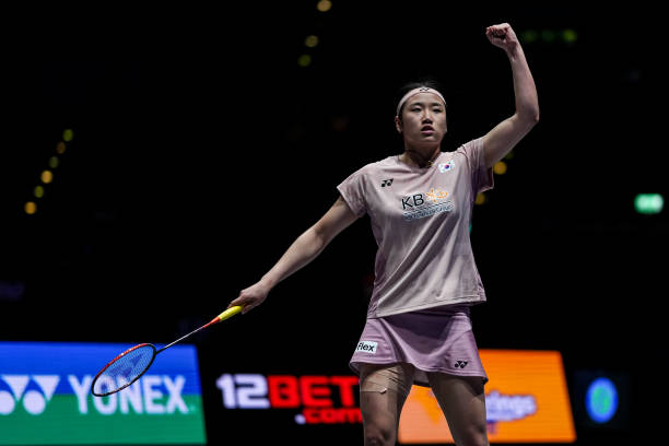 买专业羽毛球拍要花多少钱?2024年价格趋势分析