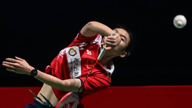 羽毛球拍NR8 vs NR10:哪款更适合你的打法?