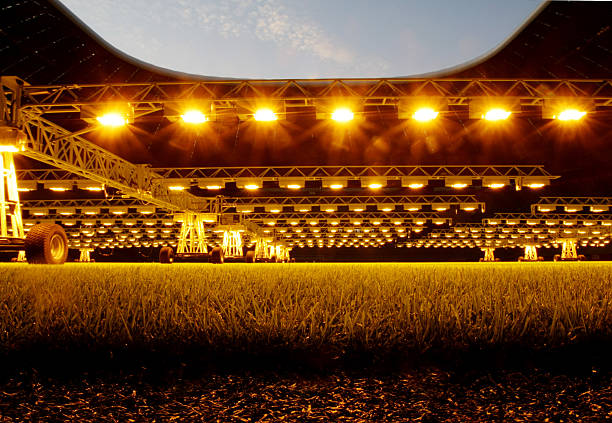 2020年全球足球焦点赛:欧洲杯、美洲杯等大赛盘点