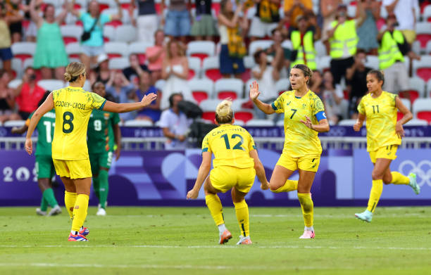 足球阵型规划软件：优化球队战术布局的利器