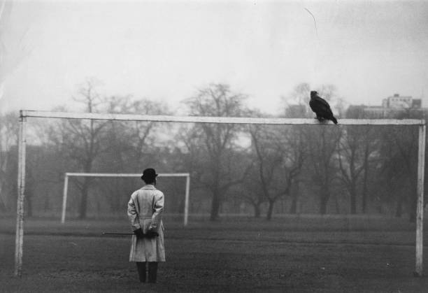 足球迷必备!球探比分新版本带来更精准的即时数据