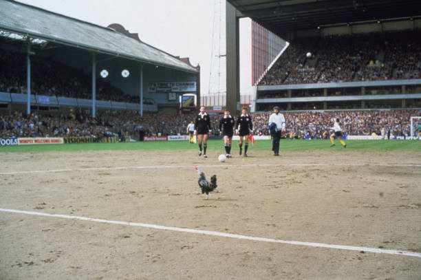 从迪斯蒂法诺到C罗:欧冠冠军球员的辉煌纪录