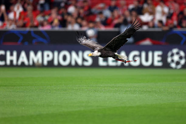 21-22赛季意甲转播权花落谁家?央视、咪咕、爱奇艺争夺战