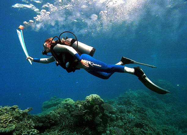 国乒混双冲金首战！许昕/刘诗雯奥运赛程详解