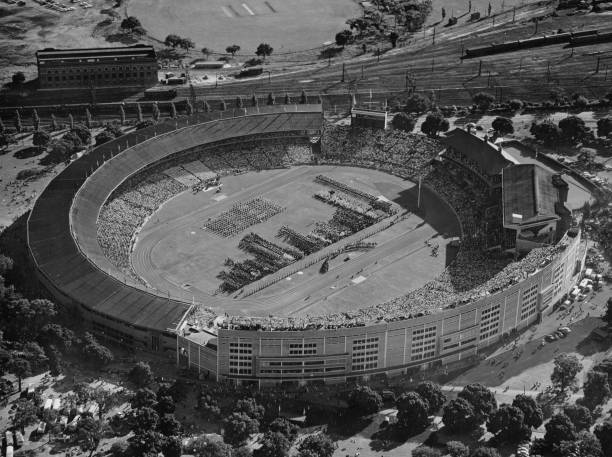 中国混双强势登顶，王楚钦孙颖莎奥运夺冠之路回顾