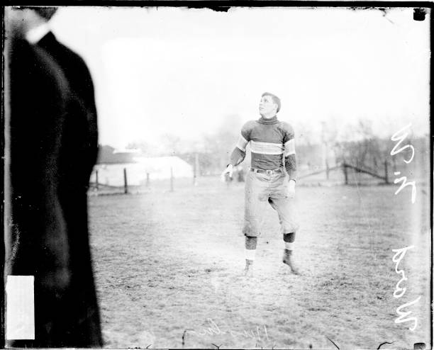 伏明霞生辰八字与命运:天赋、努力与机遇的完美结合