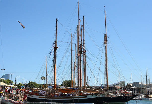 孙杨身高是否影响了他的职业生涯?专家解读身高与运动表现