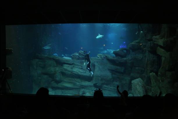 冰封的秘密：跳高行动UFO事件调查实录