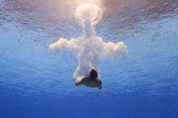 田亮杨明娜：爱情长跑终成眷属的完美典范