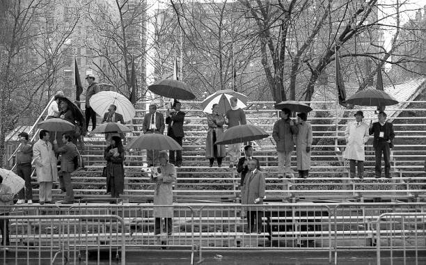 陈若琳:奥运跳水冠军的传奇人生
