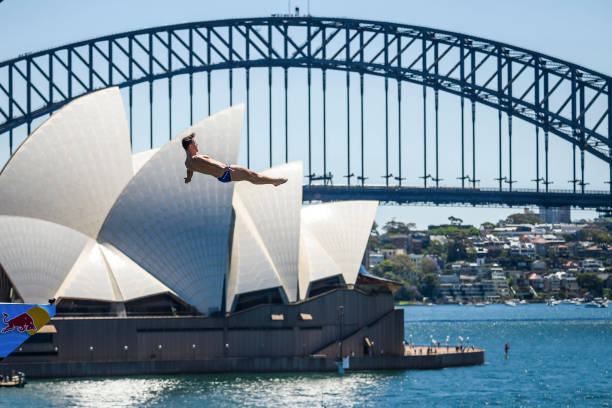 全红婵技术特点分析：为何她的跳水动作能征服世界