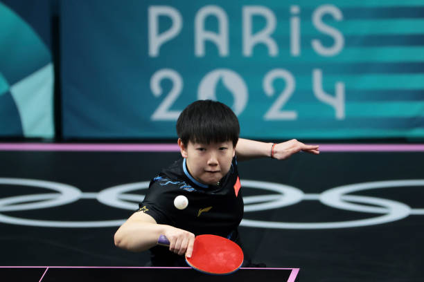 勒布伦笔下的太阳王：解析路易十四肖像的艺术魅力