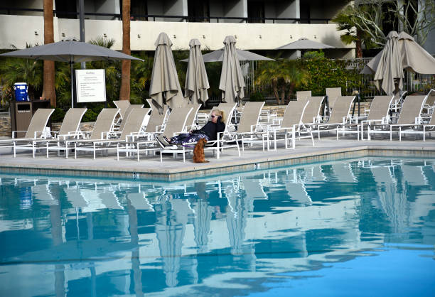 从免费到付费：游泳直播平台性价比排行榜