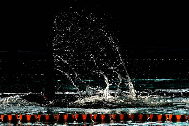 青少年游泳馆开放时间及课程安排一览