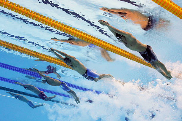 水上运动艺术：游泳池场景绘画集锦