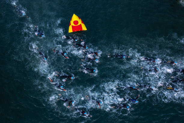 游泳训练计划:如何系统提升动作技巧与耐力