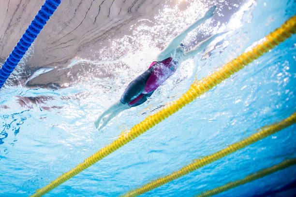 游泳教练考试理论知识体系详解