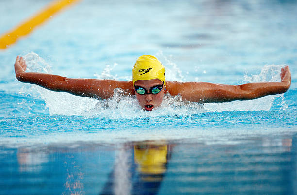 游泳赛事完整收录：2023赛季国际泳联世界杯全程视频