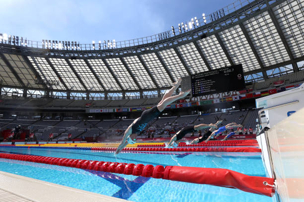 水下的声音世界:游泳时你能听到什么?