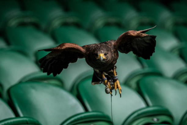 2023年法国网球公开赛具体开赛时间与赛程安排