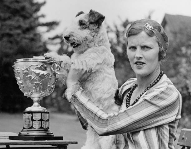 网球直播球迷网：免费高清赛事直播入口