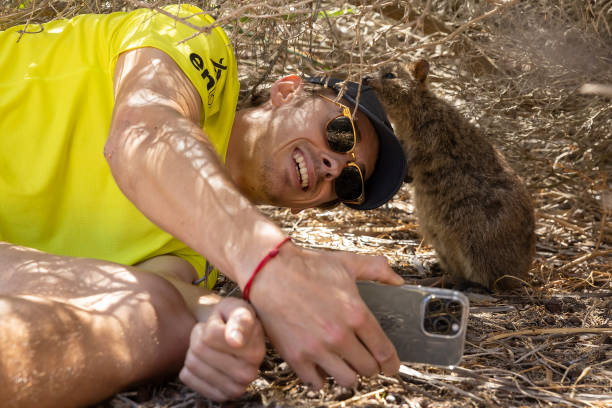 奖金激励效应:高额奖金如何推动中国网球运动发展