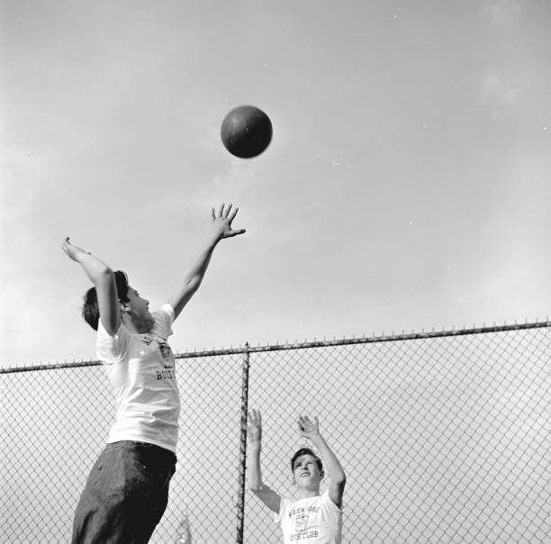 惠若琪身高引发的思考:运动员身高与竞技表现的关系